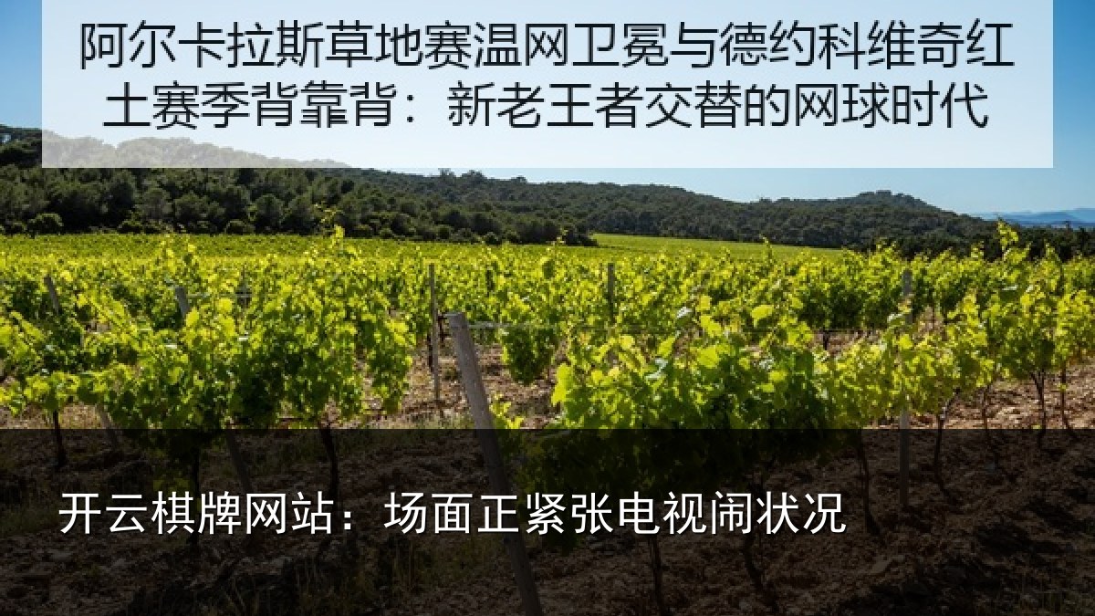 开云棋牌网站:场面正紧张电视闹状况