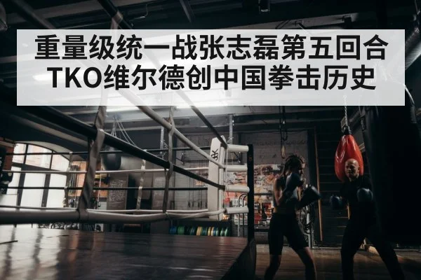 boxer training